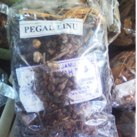 

TERMURAH JAMU REBUSAN /GODOG PEGAL LINU