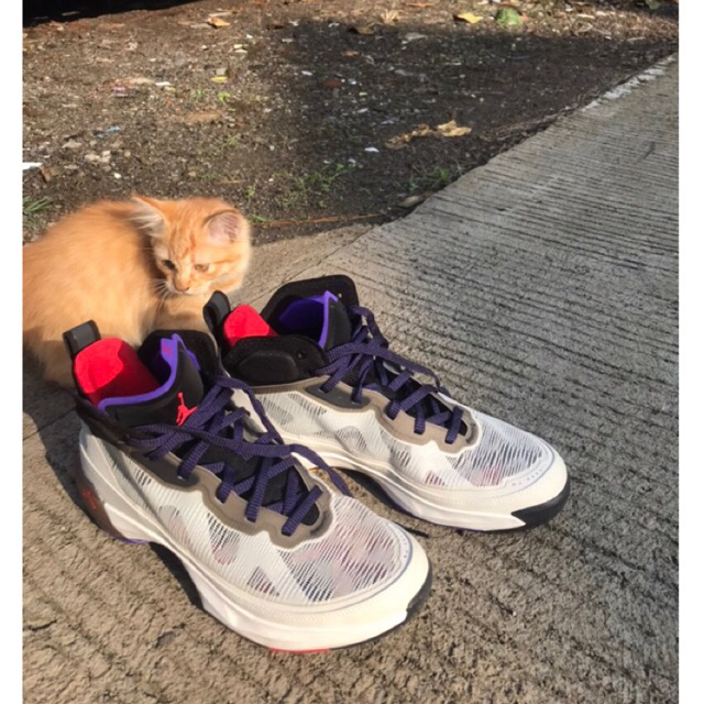 Air Jordan 37 PF (XDR) (Second)