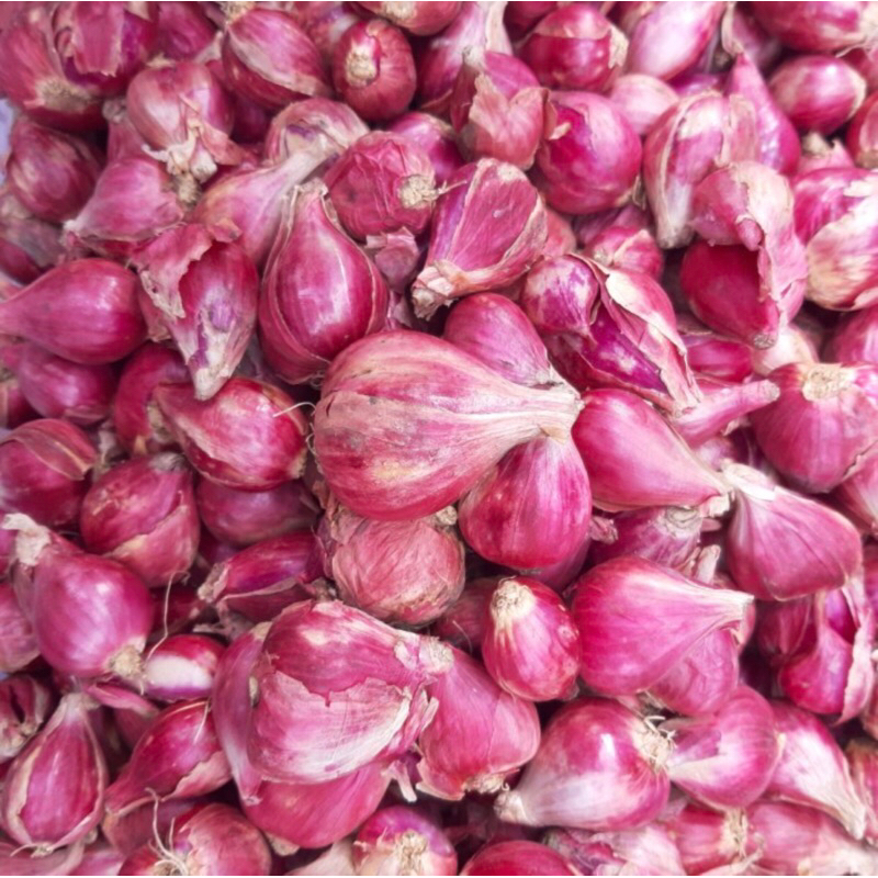 

BAWANG MERAH BREBES 250Gram - 500Gram