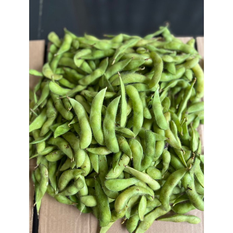 

EDAMAME KEMASAN 500 gram