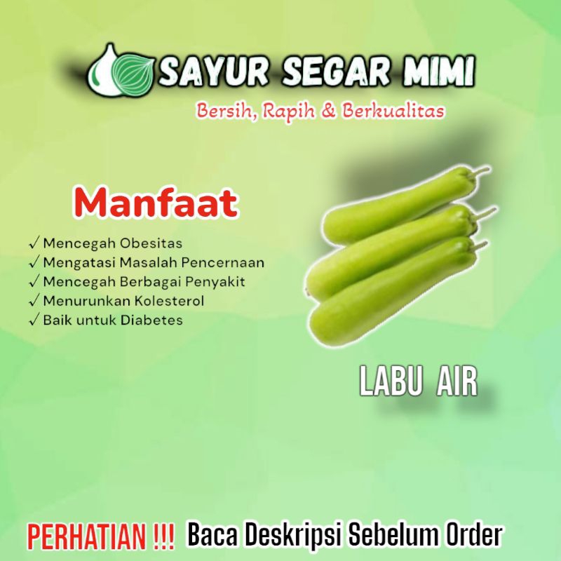 

Labu air 1pcs - Sᴀʏᴜʀ Sᴇɢᴀʀ ♏ɪᴍɪ