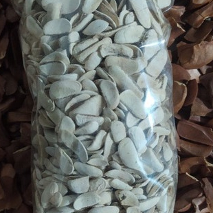 

TERBAIK BIJI MAHONI KERING HERBAL 1KG