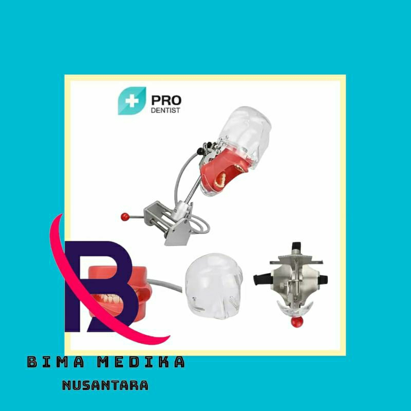 PHANTOM / MANIKIN DENTAL SIMULATOR TYPODONT HEAD / MODEL TYPODONT KEPALA