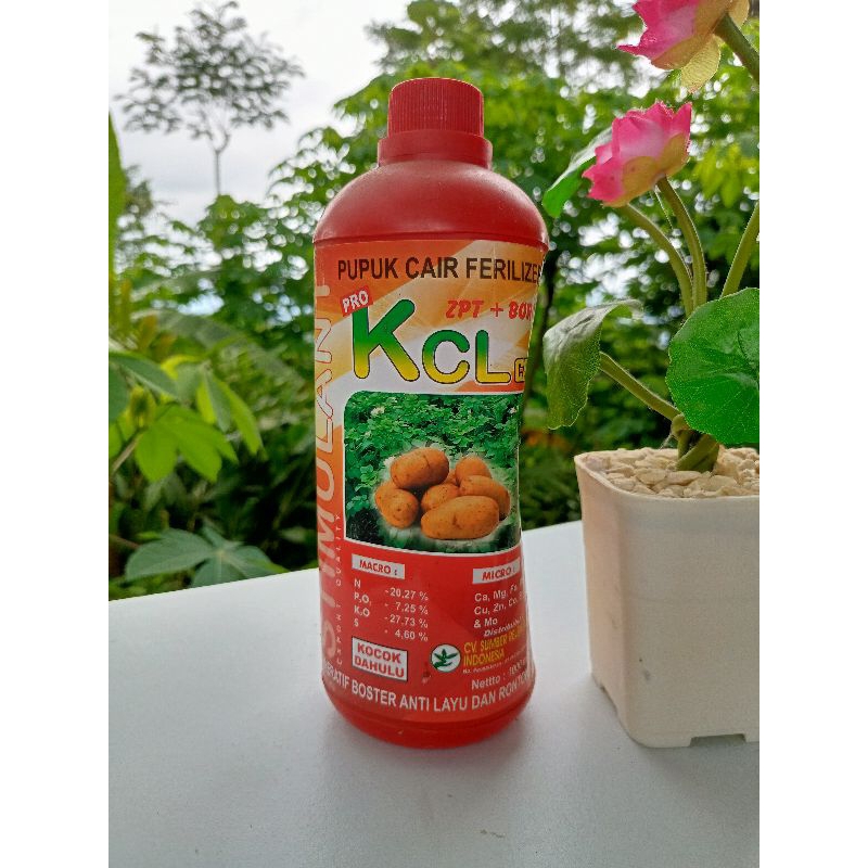 KCL CAIR PUPUK CAIR FERILIZER ZPT+BORON 1000ml