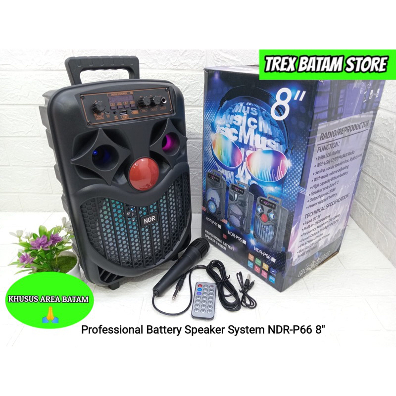 NDR-P66 PROFESSIONAL BATTERY SPEAKER SYSTEM 8 INCH (BATAM)