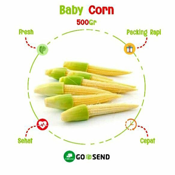 

BABY CORN / FRESH VEGETABLE