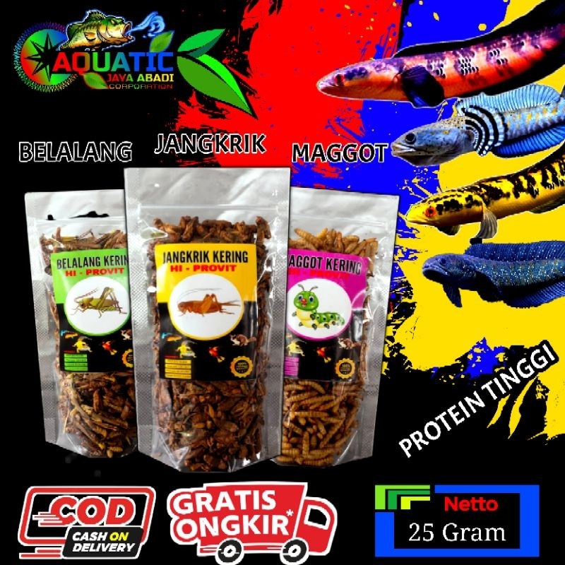 Hi-Provit Pakan Ikan,Burung,Gecko Protein Tinggi