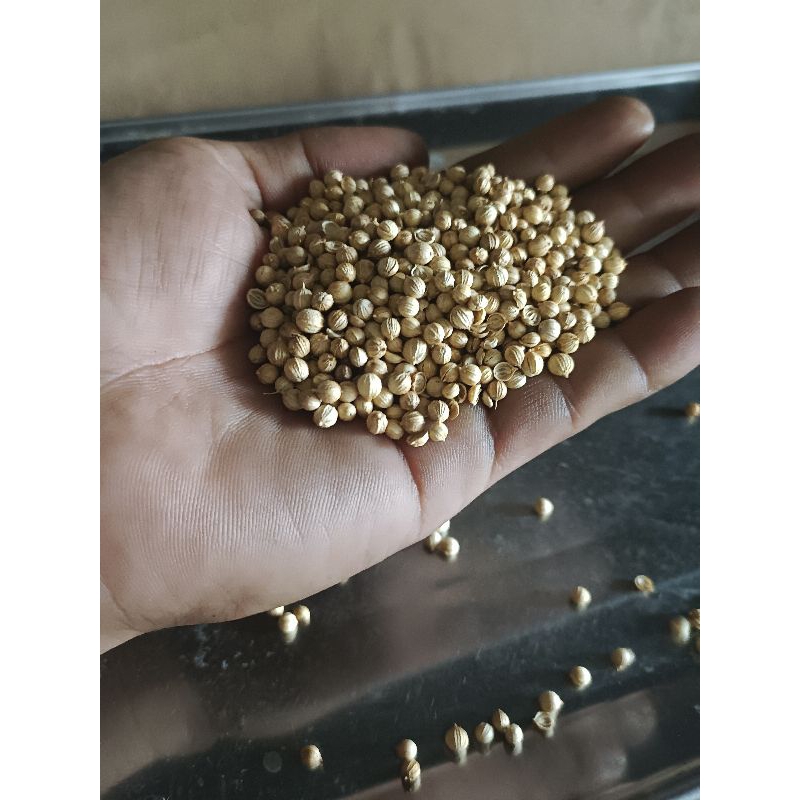 

lada putih/merica pedas 100% asli 80 gram