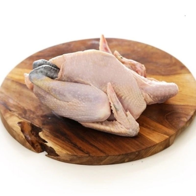 

Ayam Kampung
