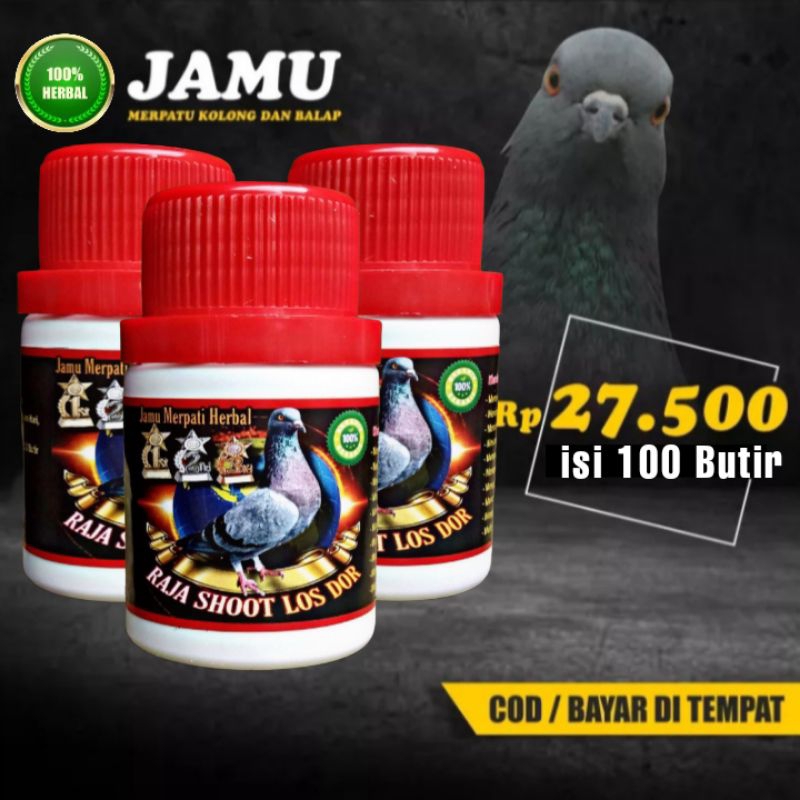 JAMU MERPATI KOLONG LOS DOOR RAJA SHOOT isi 100 butur raja pukul super giring doping sarang walet ra