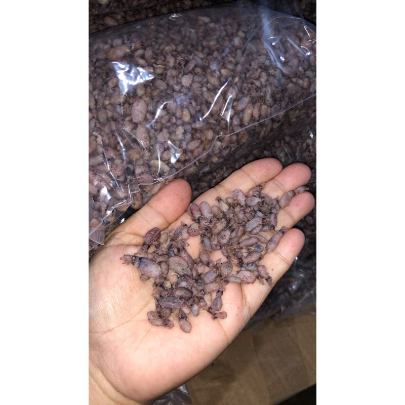 

baby cumi premium kerikil 250 gram
