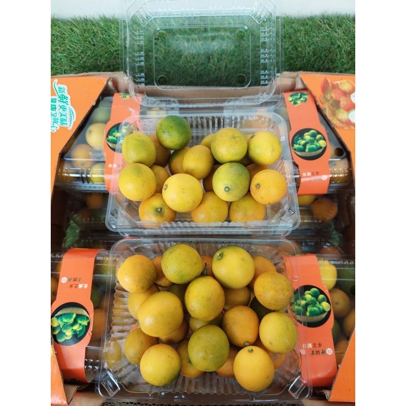 Jeruk honey kimkit / jeruk kimkit manis / bisa dimakan bersama kulitnya