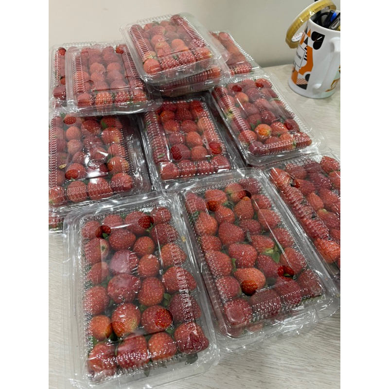 

STRAWBERRY ORGANIK BANDUNG