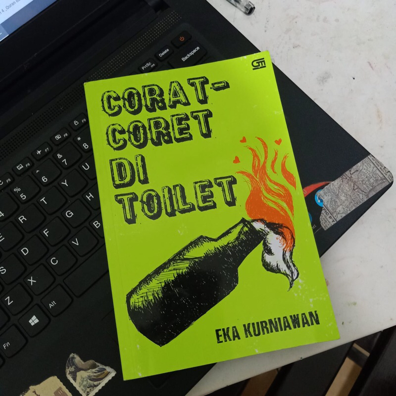 

novel