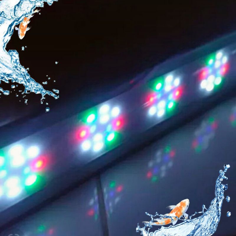 Lampu Aquarium LED Kandila Z 200