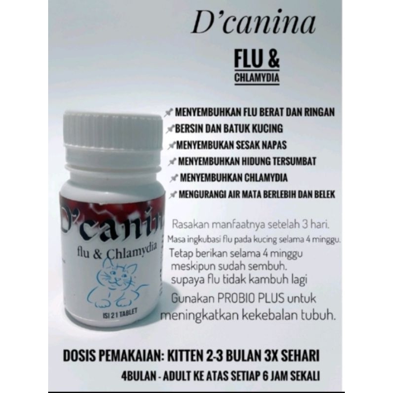 Dcanina flu & chlamydia obat flu bersin batuk pada kucing