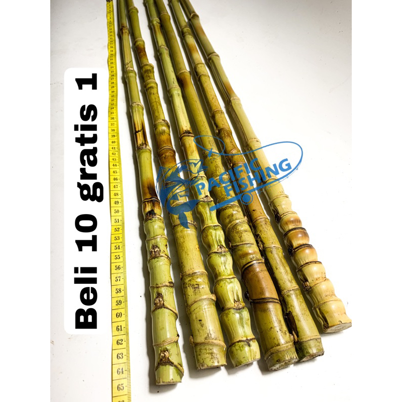 Bambu cendani 60cm | gagang joran bambu cendani | grossir