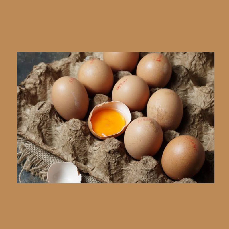 Telur omega / telor omega / telur omega 1tray
