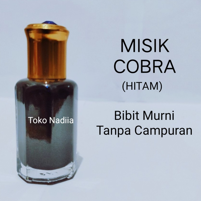 MISIK COBRA / Kobra Hitam Fancy Bouquet Cobra Bibit Murni Tanpa Campuran