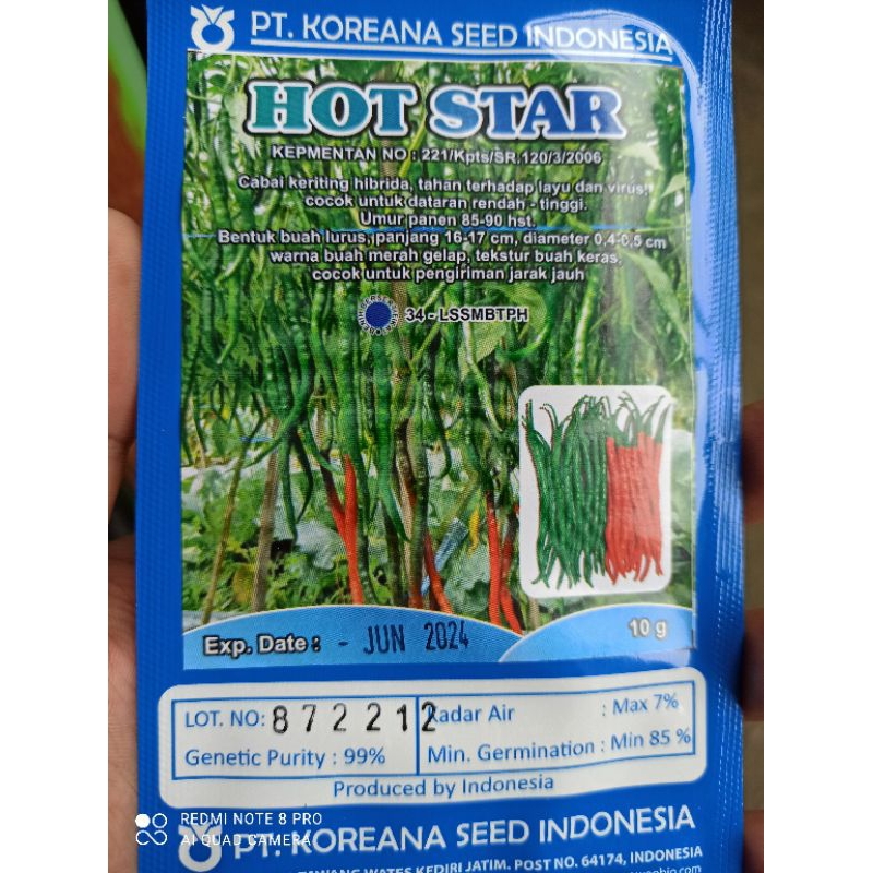 Benih Cabe Keriting HOT STAR F1 10Gr Koreana seed