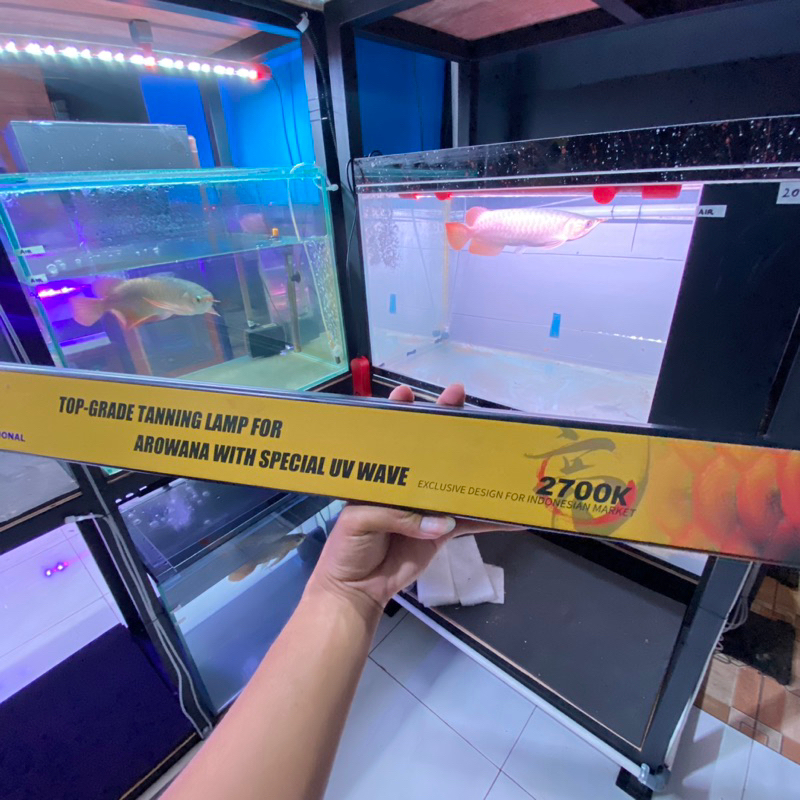 Lampu Tanning Celup Mayin 2700K untuk akuarium ikan arwana