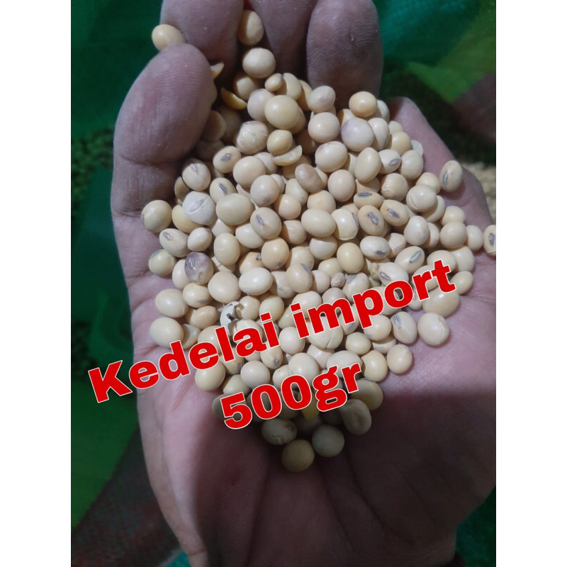 

Kedelai Import kemasan 500gr