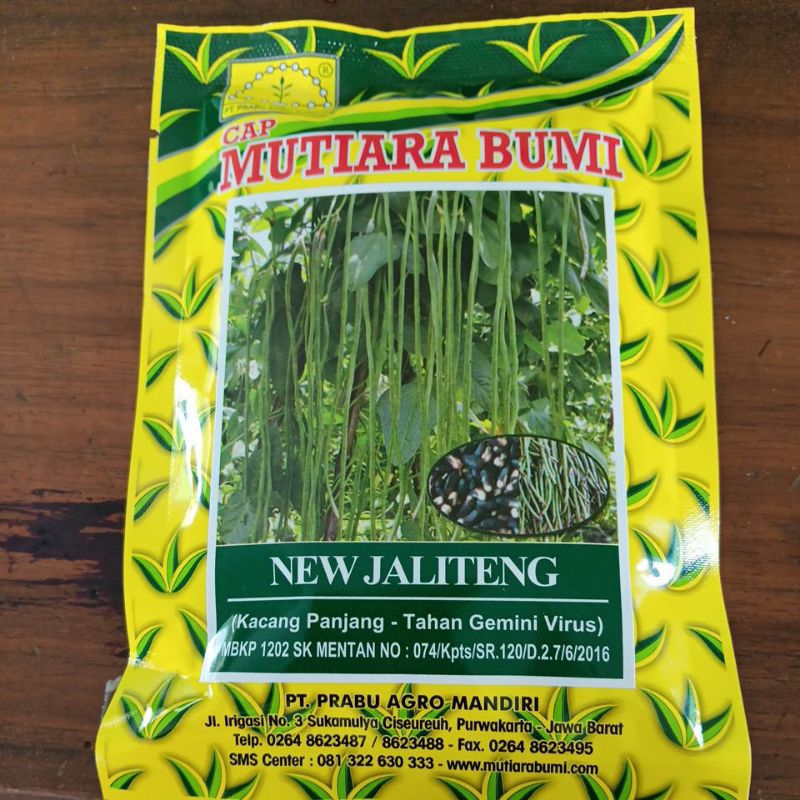benih super unggul kacang panjang new jaliteng isi 100 gram