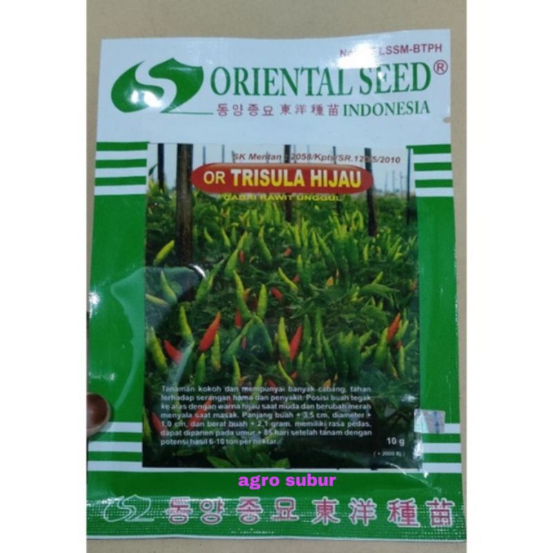 Benih cabe rawit OR TRISULA HIJAU isi 10gram dari oriental seed