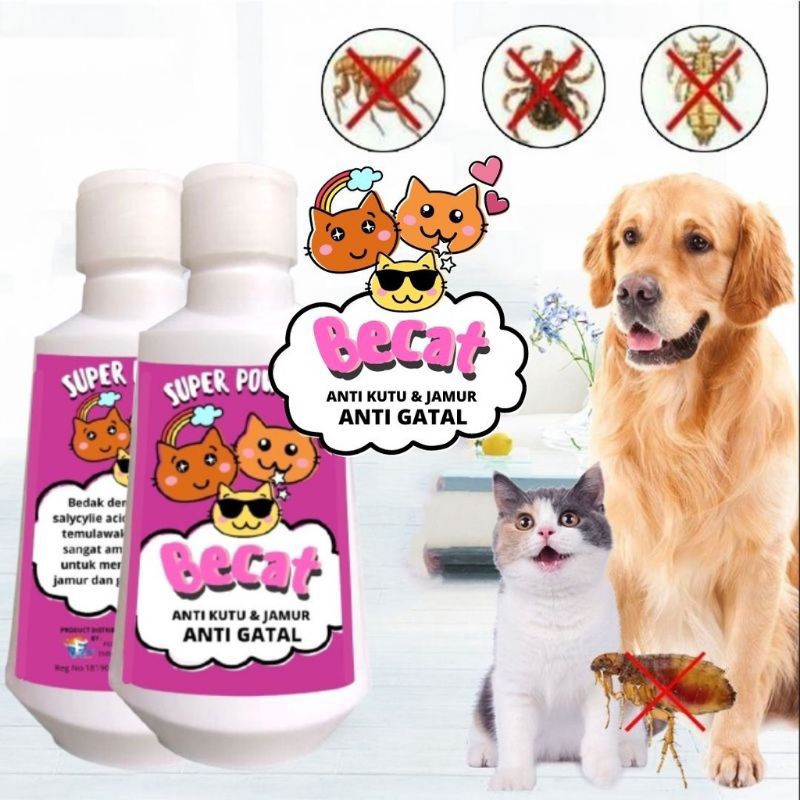 GPSS- Bedak Kucing Anjing Wangi Anti Kutu Jamur Scabies Gatal Kitten Adult Bedak Grooming Hewan Bedak Kucing Anti Kutu Bedak Kucing Anti Jamur Bedak Anjing Anti Kutu Jamur Bedak Kelinci Bedak Bulu Hewan Bedak Anti Kutu Bedak Anti Jamur Bedak Kucing Kitten