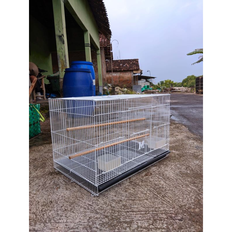 Kandang Kotak Besi DRAGON Kandang Ternak Burung Kandang Suger Glider Burung DLL