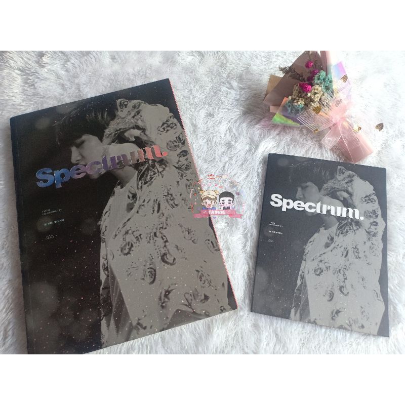 Photobook + DVD Fansite Baekhyun EXO