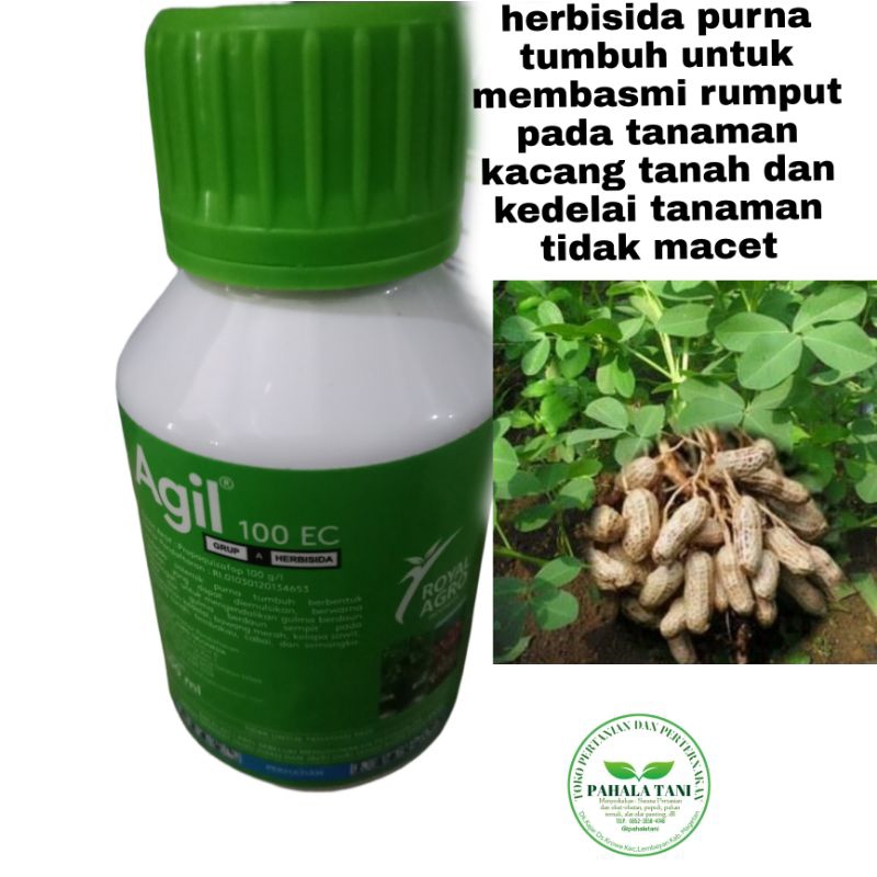 Agil 100 EC/obat rumput kacang tanah / hama rumput kedelai(100ml)