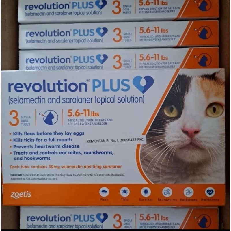 REVOLUTION PLUS CAT ORANGE