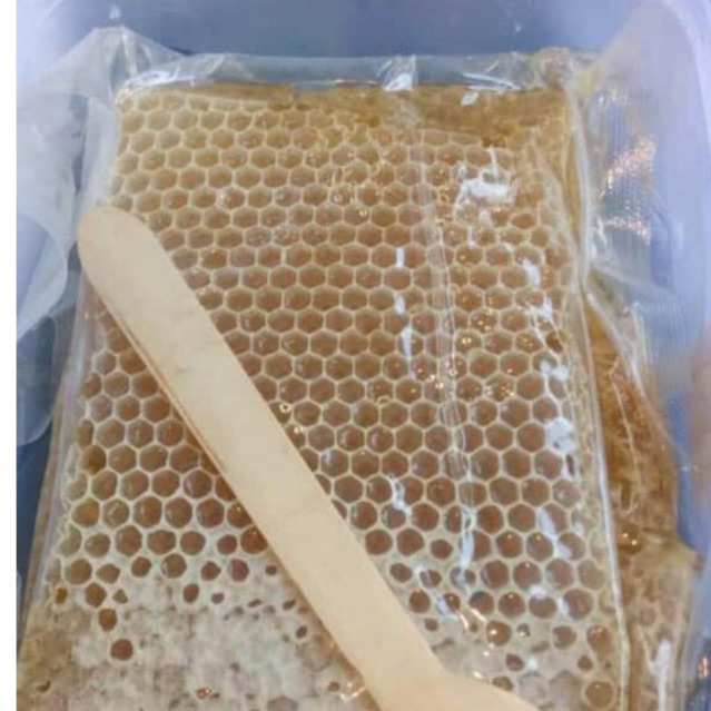 

Sarang Madu lebah tawon kosong asli 50 gram