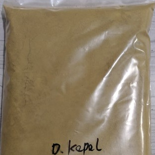 

TERBAIK BUBUK DAUN KEPEL KERING HERBAL 250 GRAM