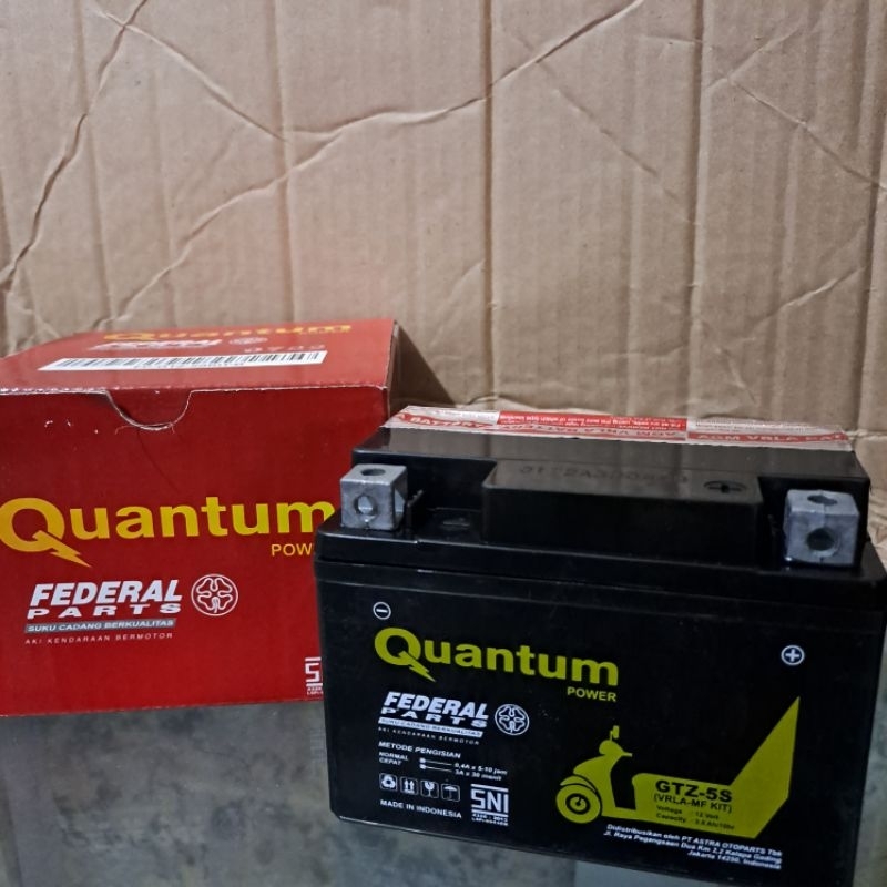 Aki kering merk Federal