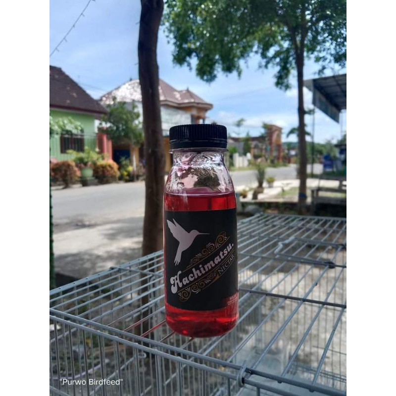 Nektar HACHIMATSU Pakan Burung Kolibri Konin Sogon Pleci Gacor