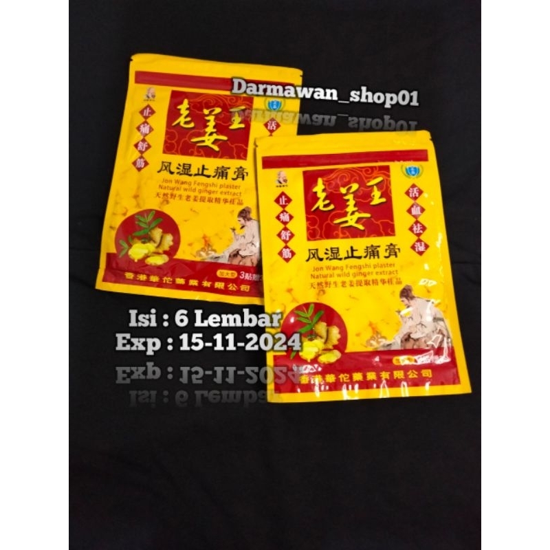 KOYO JON WANG FENGSHI PLASTER NATURAL WILD GINGER