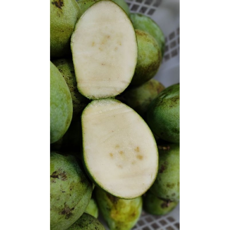 

manalagi madu