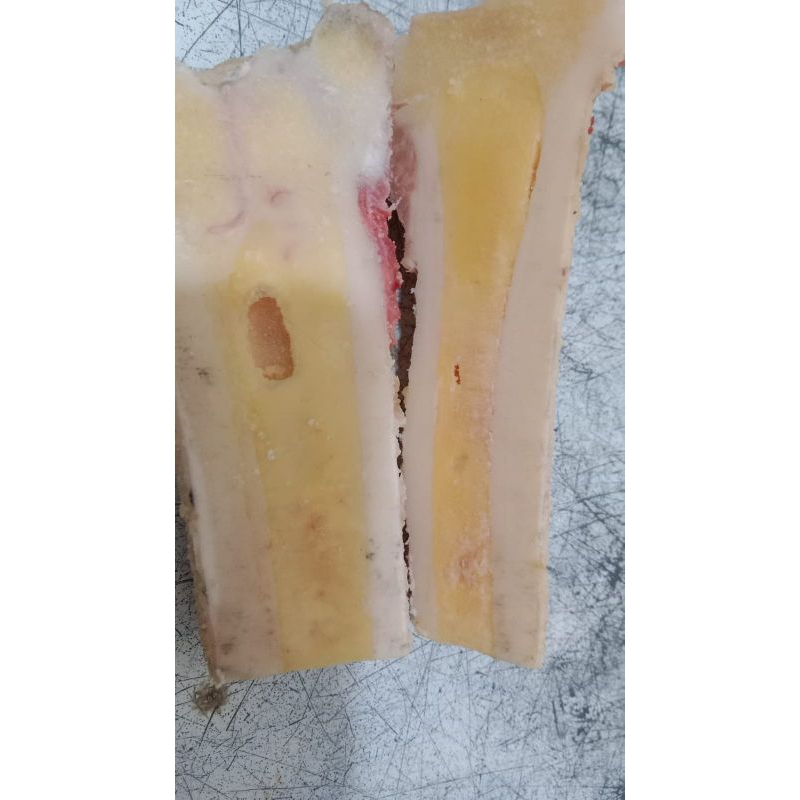 

Tulang kaldu sapi belah | Tulang sumsum sapi belah | bone marrow middle cut 1kg