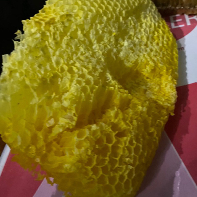 Sarang Madu lebah tawon kosong asli 50 gram