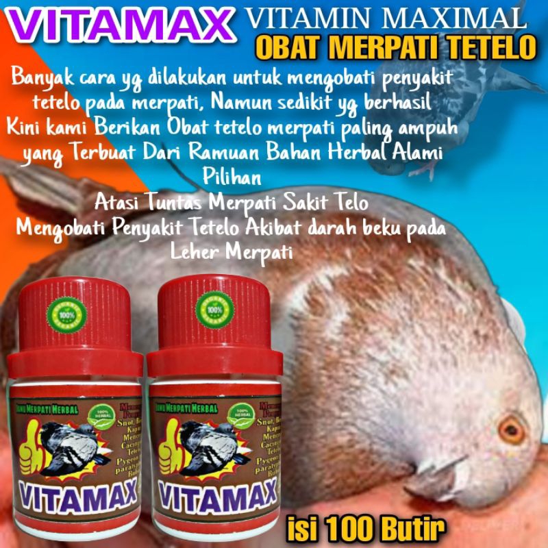 JAMU MERPATI TETELO ISI 100 BUTIR PALING AMPUHpil edan merpati kolong losdor pil edan asli pil edan 