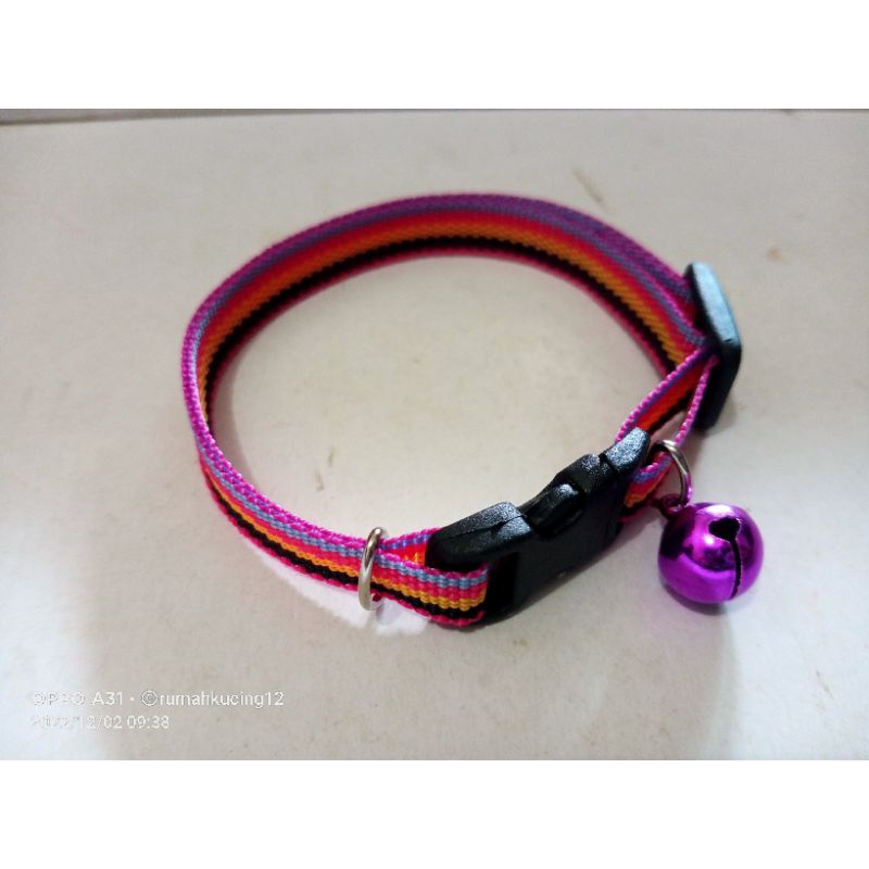 KALUNG KUCING 1 LUSIN/GROSIR/WEBBING