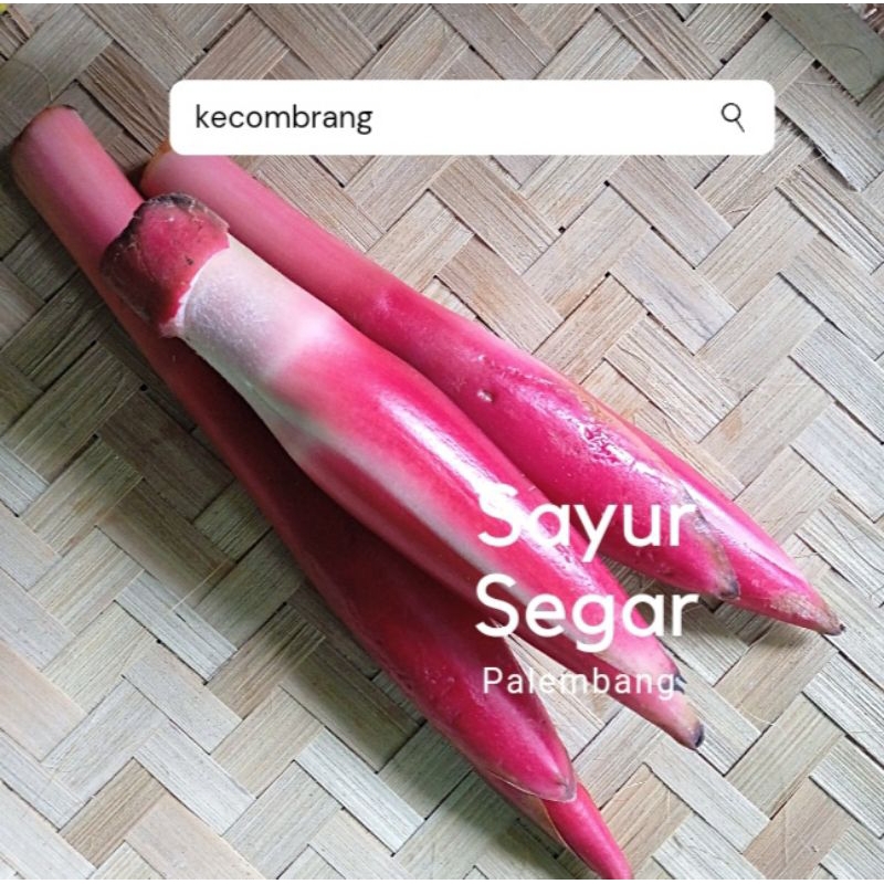 

Kecombrang per pcs Sayur Segar Palembang