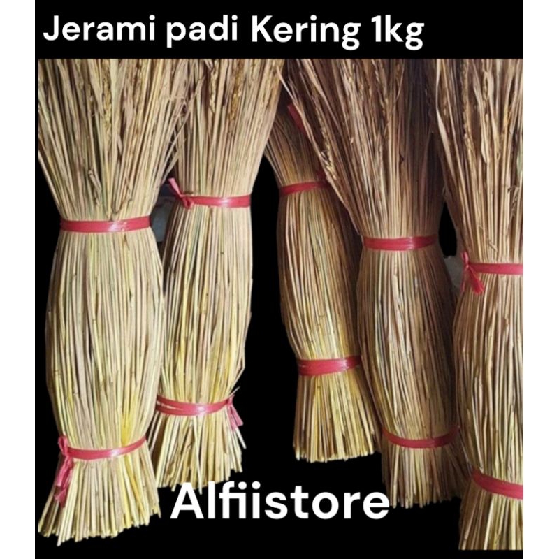 Jual Jerami Padi Kering 1kg Shopee Indonesia