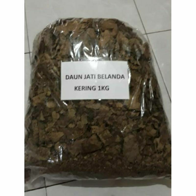 

Daun Jati Belanda Kering 1kg