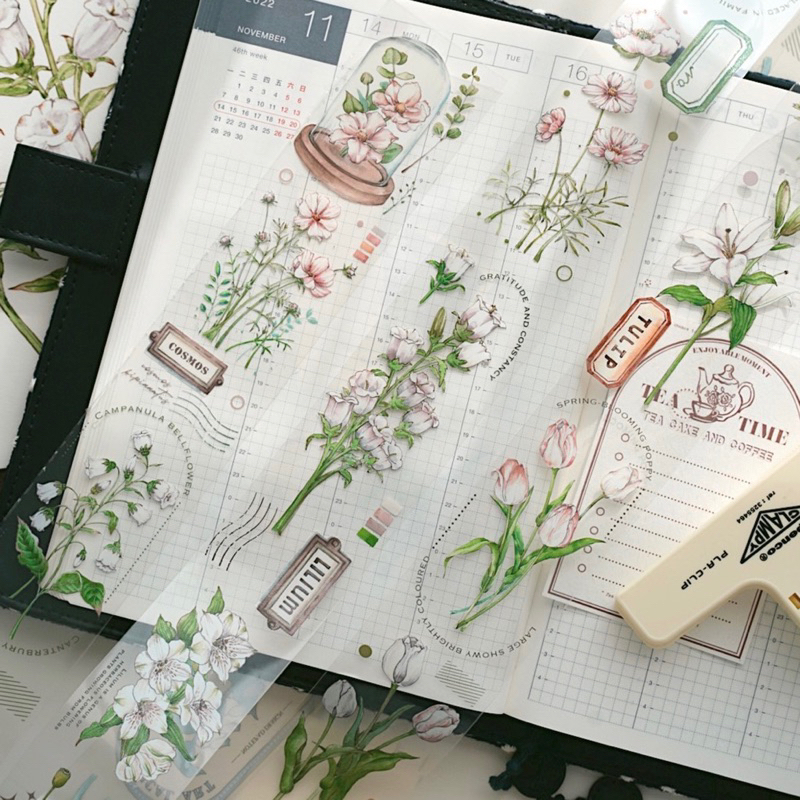 

Qiqiyu Cosmos PET Tape