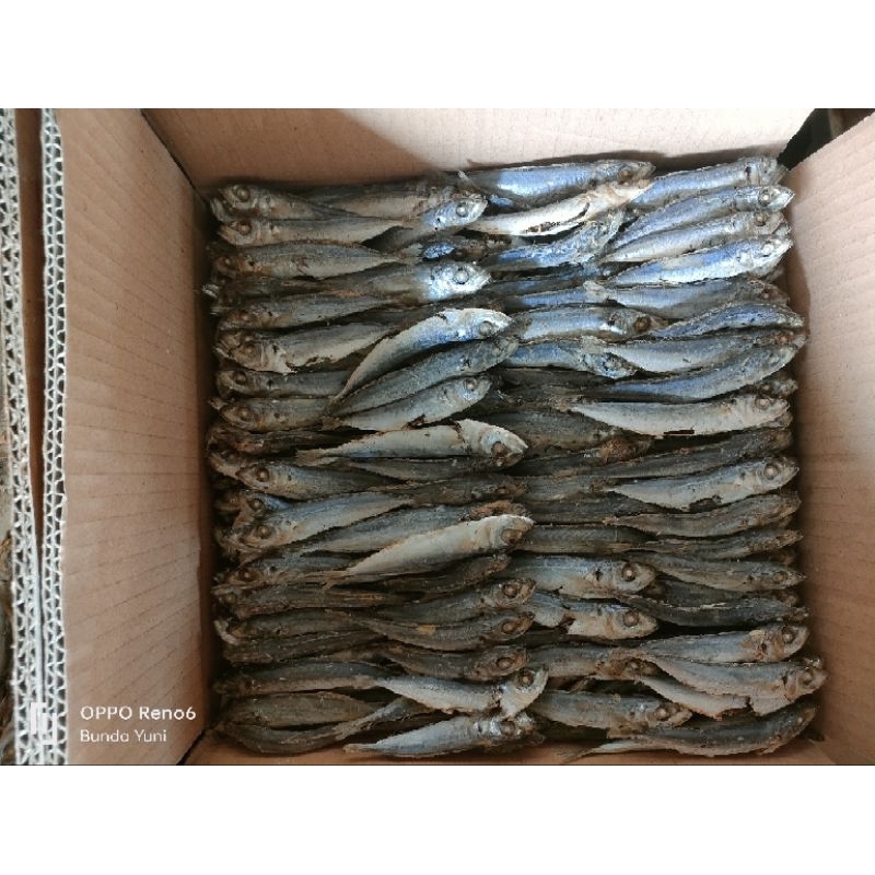 

IKAN REBUS KERING IKAN GLOSIR MURAH ANEKA OLAHAN IKAN KERING