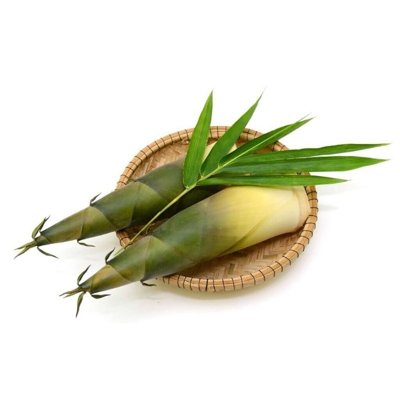 

Rebung per-biji