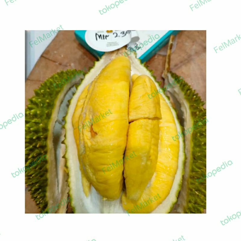 

Durian Musangking Nitro ( Utuh Beku) manis pahit legit utuh | pcs